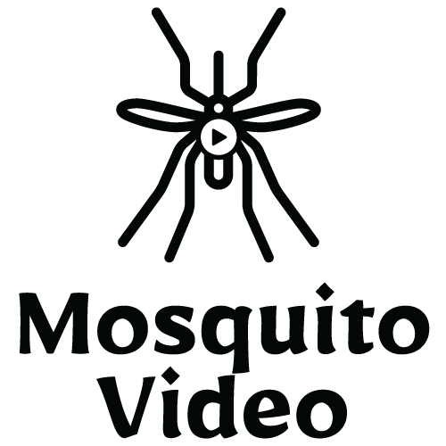 Mosquito Video